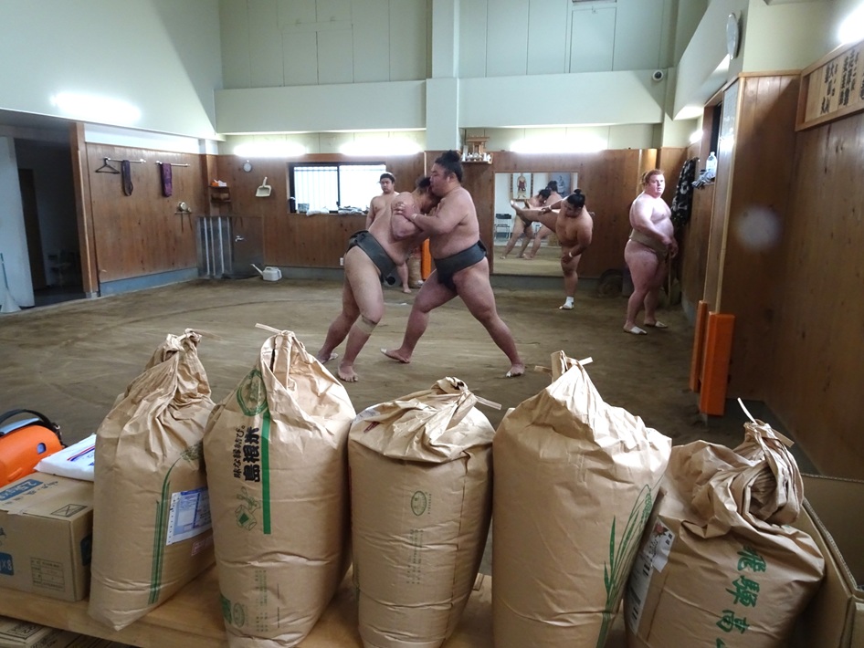 朝日山部屋