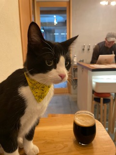 OUR DAYs Brewery&Club house ラッキーだったらネコ店長のZAB(ざぶ)に会えるかも
