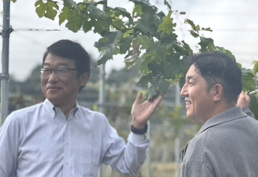 千葉市ワイン Project　ブドウに願いを込めて