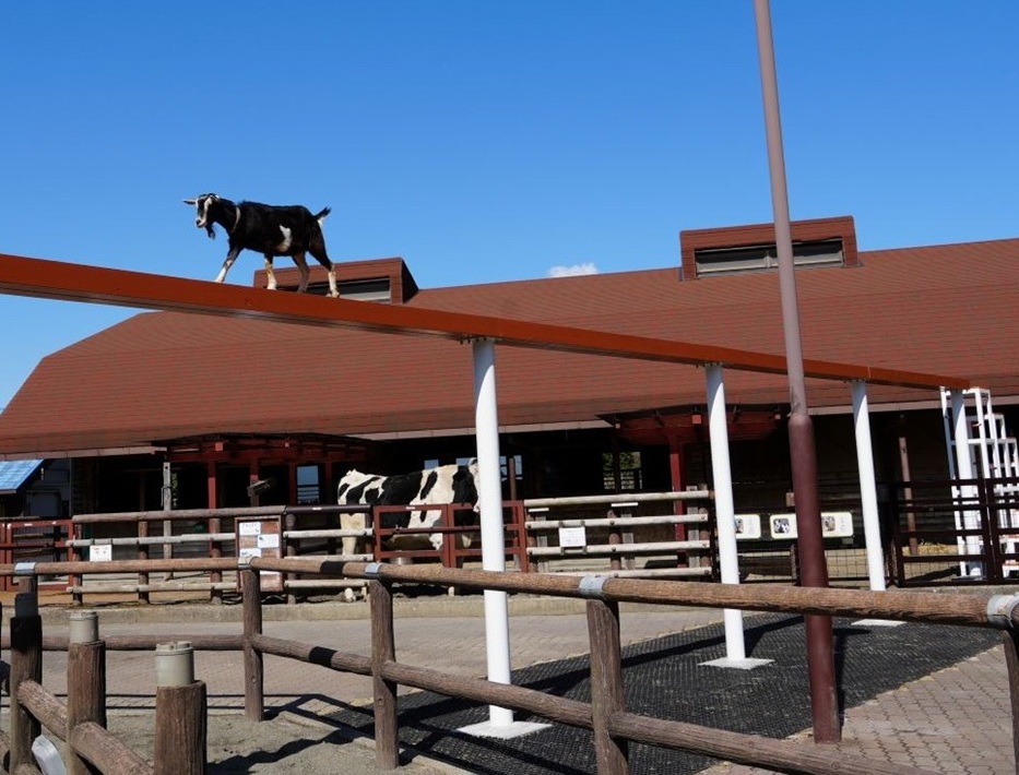 市川市動植物園