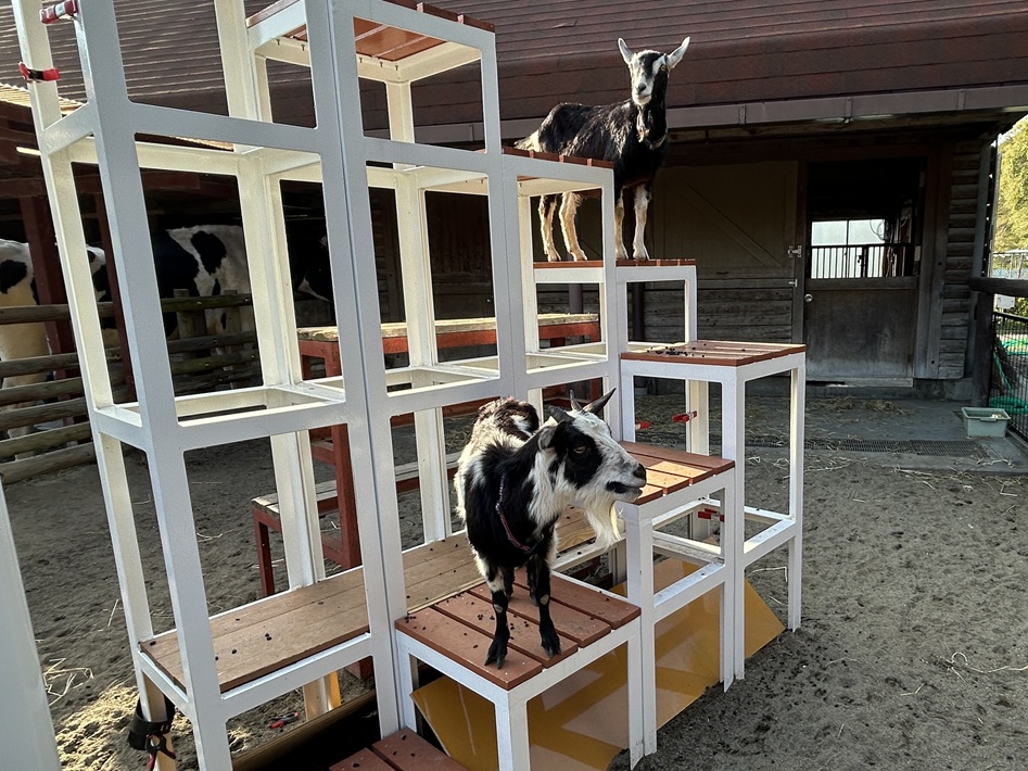 市川市動植物園