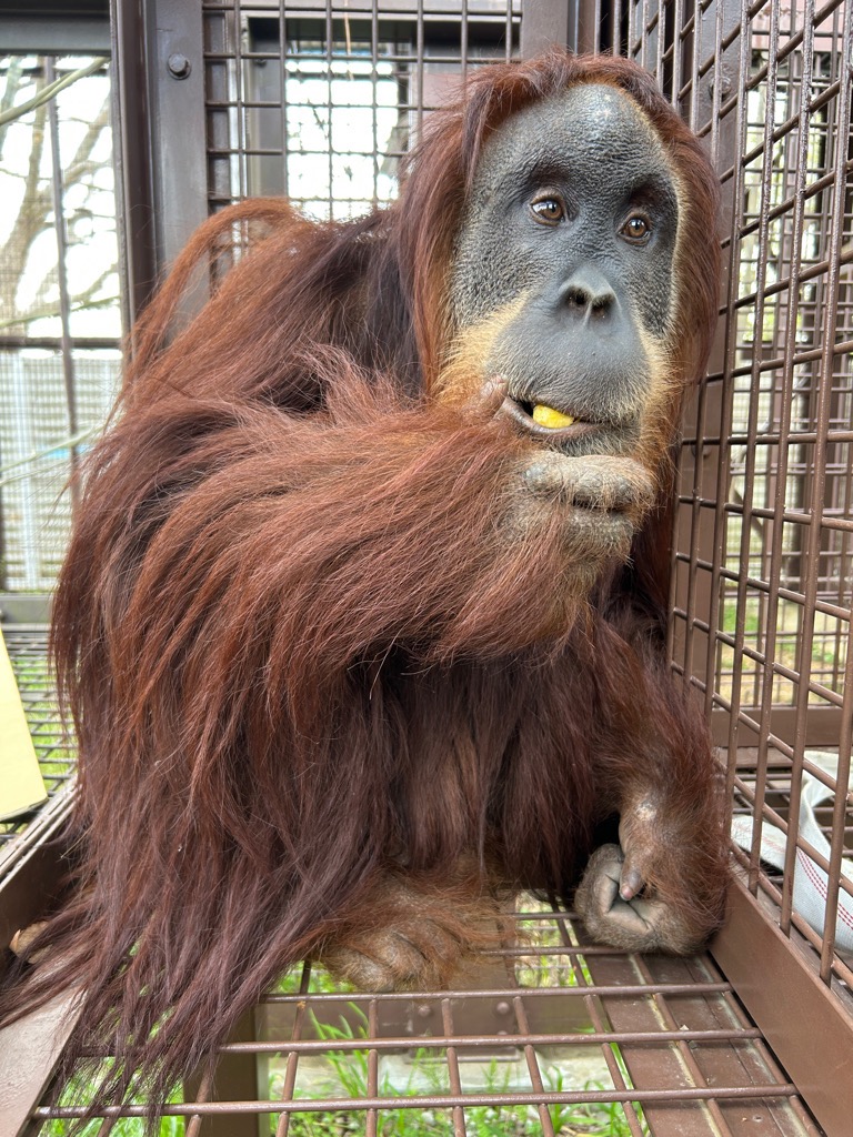 市川市動植物園