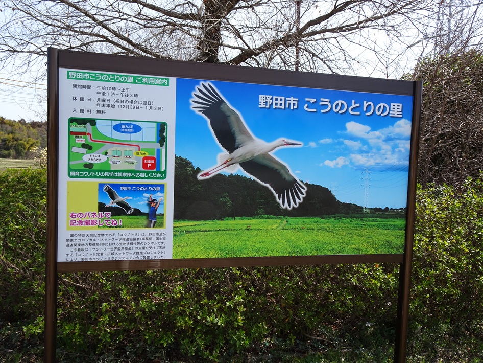 ウノトリが暮らす「こうのとりの里」とは?水と緑を守る自然豊かなまちづくり【野田市】