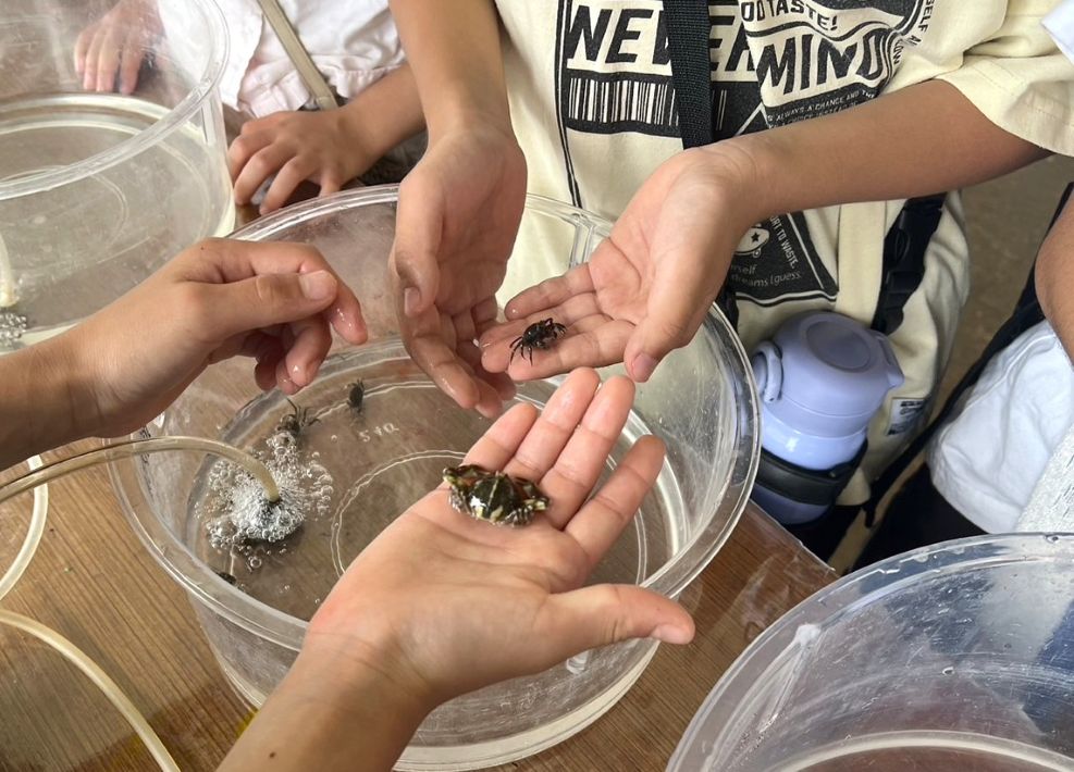 谷津干潟の日フェス 干潟の生き物に触れながら、ジュニアレンジャーがやさしく解説