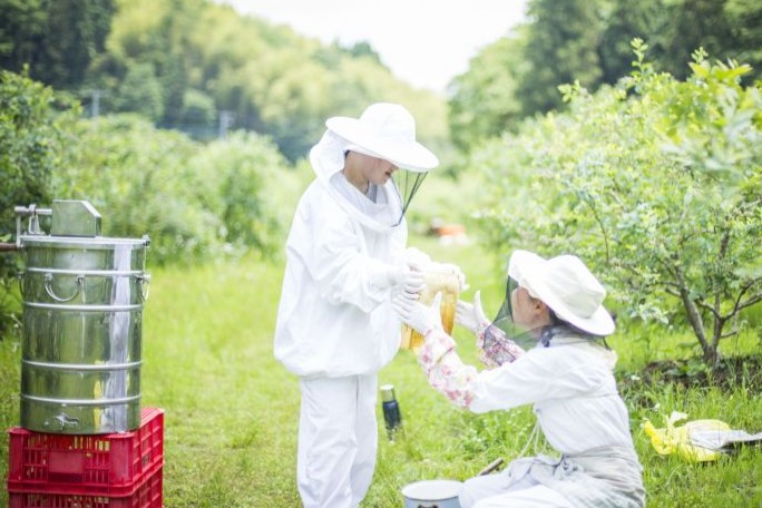 はぁもにぃの完熟生はちみつ&プリンセスぷりん 丁寧に、負担なく。チャレンジドならではのやさしい養蜂