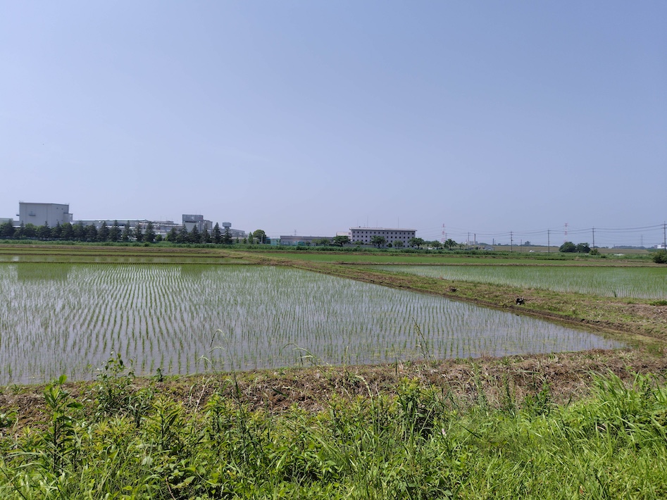 守谷市野木崎の慰霊碑
