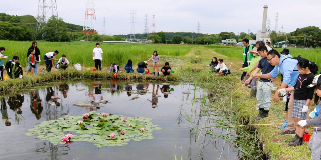 野田市「SDGsエコ作戦」ミッション6 「条件付特定外来生物」アメリカザリガニ捕獲大作戦