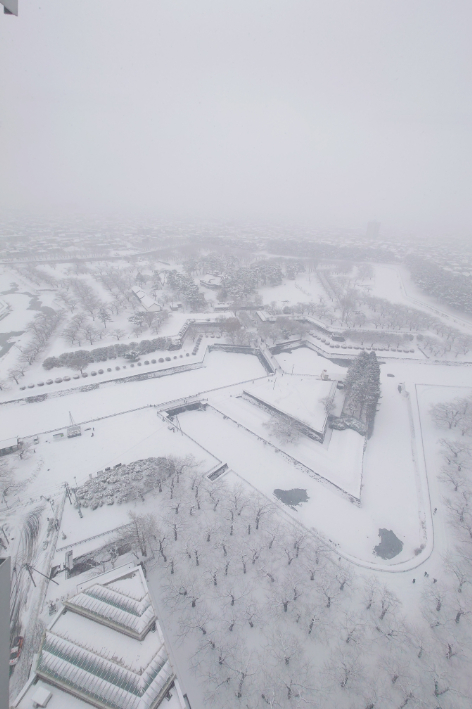12月に行った函館はこの時季にしては珍しい雪景色。函館空港も函館山も銀世界。今まで雪の北海道に行ったことがなく、ふぶいた中を歩いた初めての