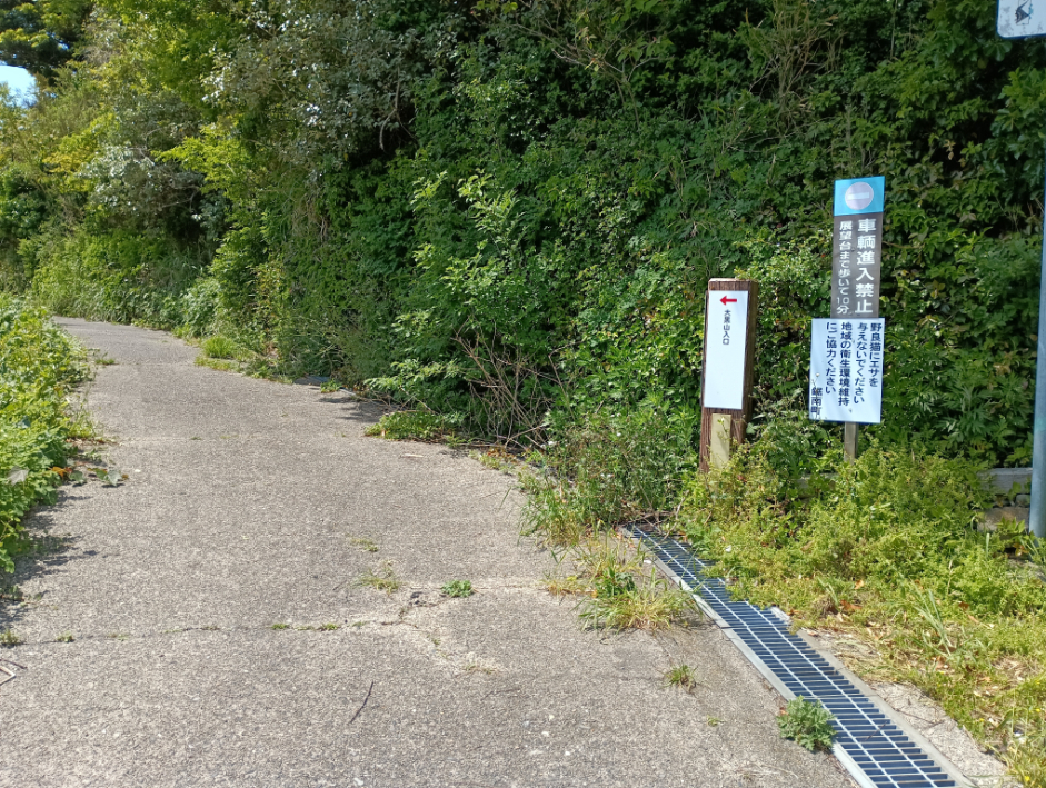 登山口