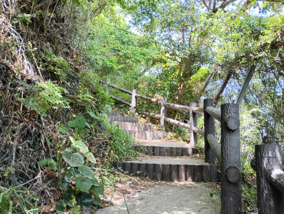 登山道