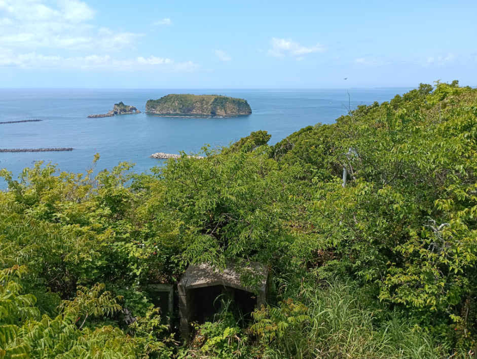 山頂からの眺め