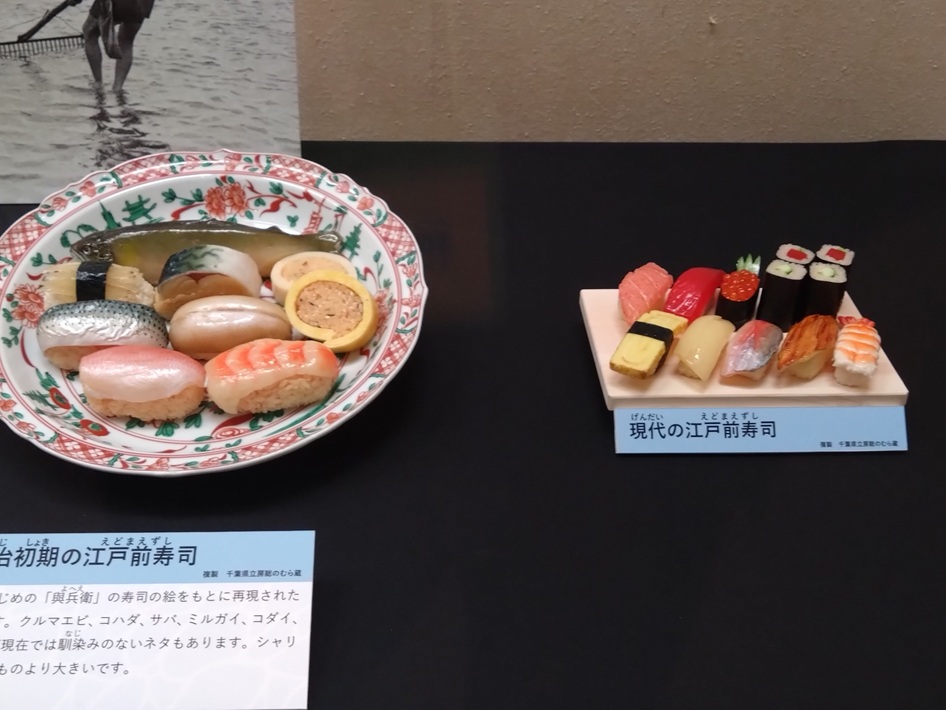 千葉の海と食を学ぶ、千葉県立中央博物館「房総うみの幸 大百科」【千葉市中央区】