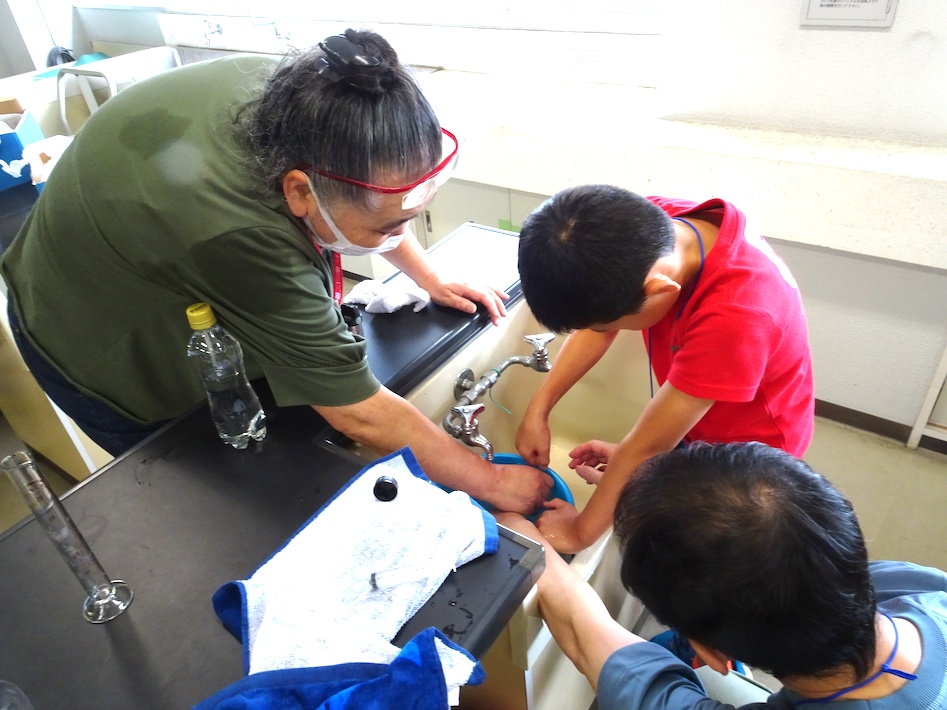 夏休みの自由研究にいかが? 浮沈子を作ってみよう!