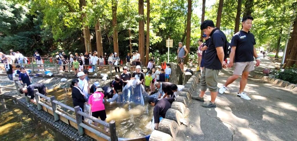 貝柄山公園で「ニジマスつかみ取り大会」