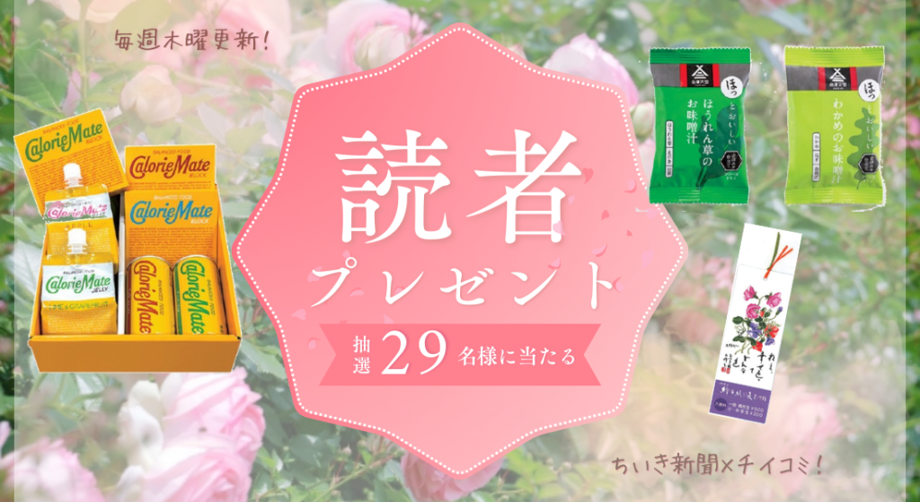【レア品】なみのりピカチュウプレゼント　キャンペーン　当選通知書 レア品】なみのりピカチュウプレゼント キャンペーン 当選通知書