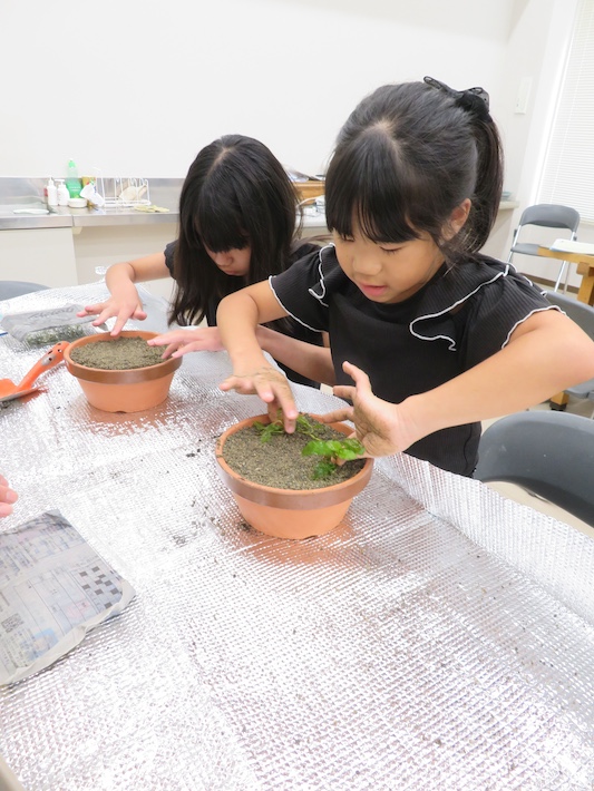 手賀沼の水草復活へ