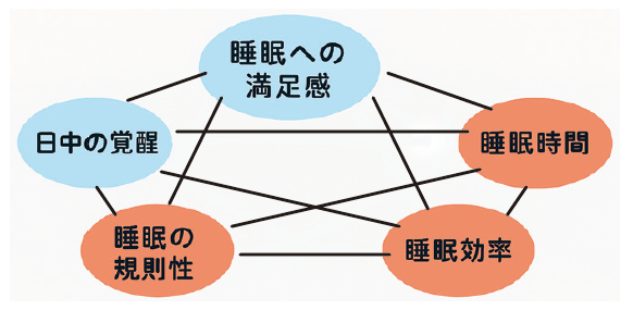 (図1)睡眠健康の5要素
江戸川大学
睡眠研究所
山本隆一郎教授
出典/Sleep,37(1),9-17.
