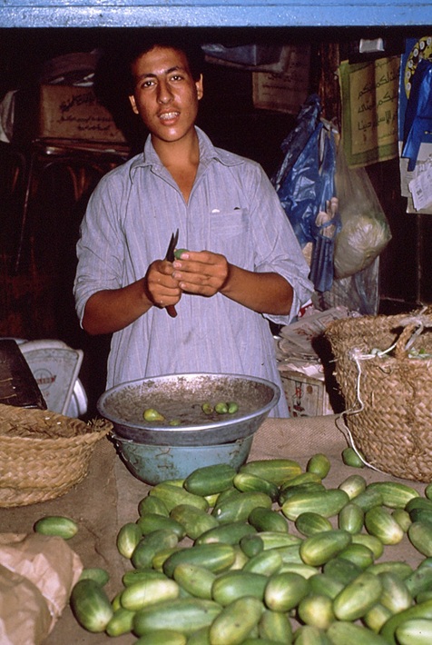 カイロ（エジプト）を訪ねて～作家・秋山秀一「旅の記憶(43)」
