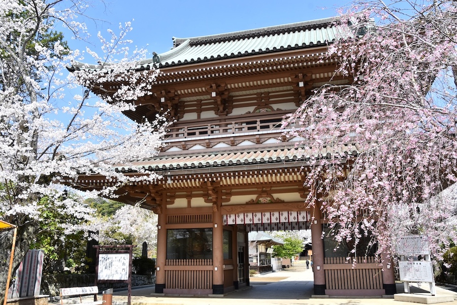 地元出身の市長がおすすめする 成田市の「食」「遊」「歴史」「自然」スポット