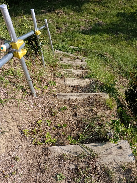 【南房総市】「おんだら山」へ登山・ハイキング！千葉の房総低名山シリーズ