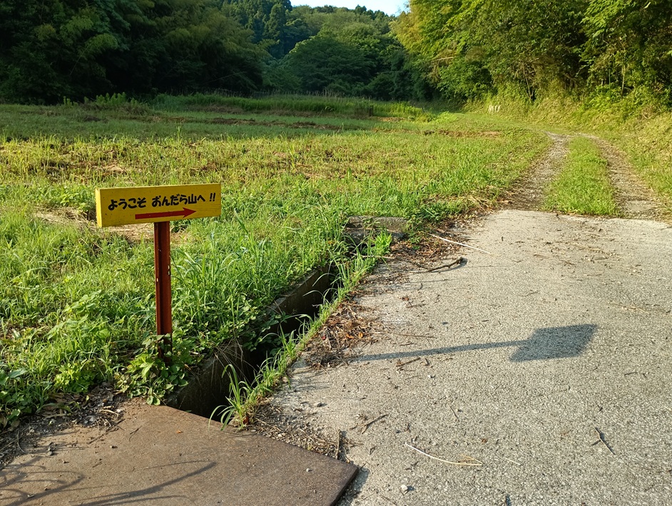 【南房総市】「おんだら山」へ登山・ハイキング！千葉の房総低名山シリーズ