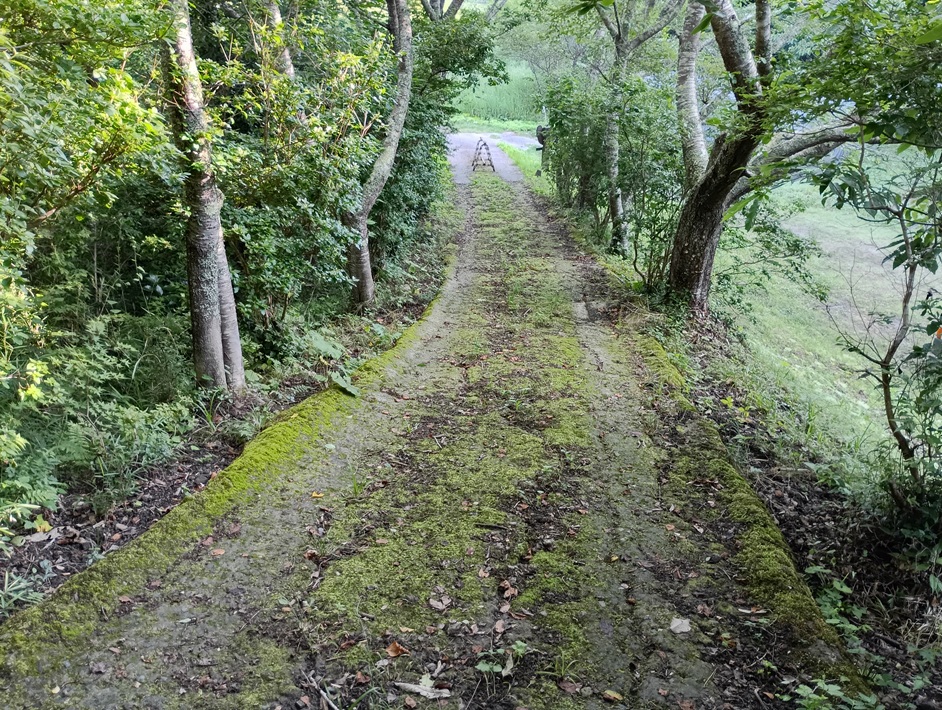 【南房総市】「おんだら山」へ登山・ハイキング！千葉の房総低名山シリーズ