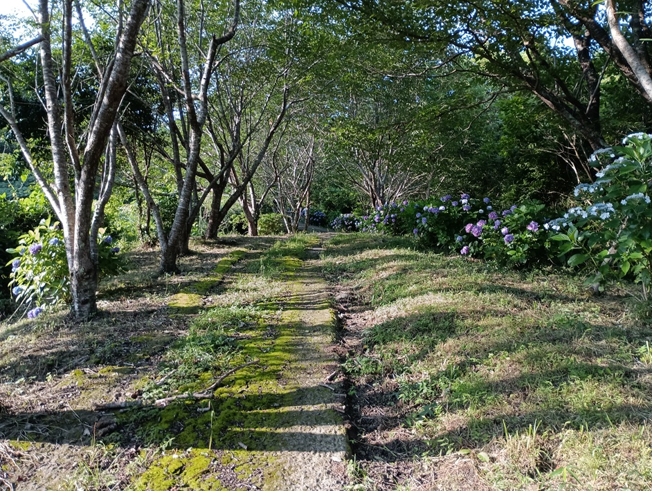 【南房総市】「おんだら山」へ登山・ハイキング！千葉の房総低名山シリーズ