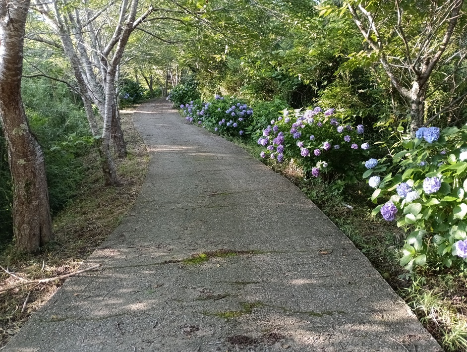 【南房総市】「おんだら山」へ登山・ハイキング！千葉の房総低名山シリーズ