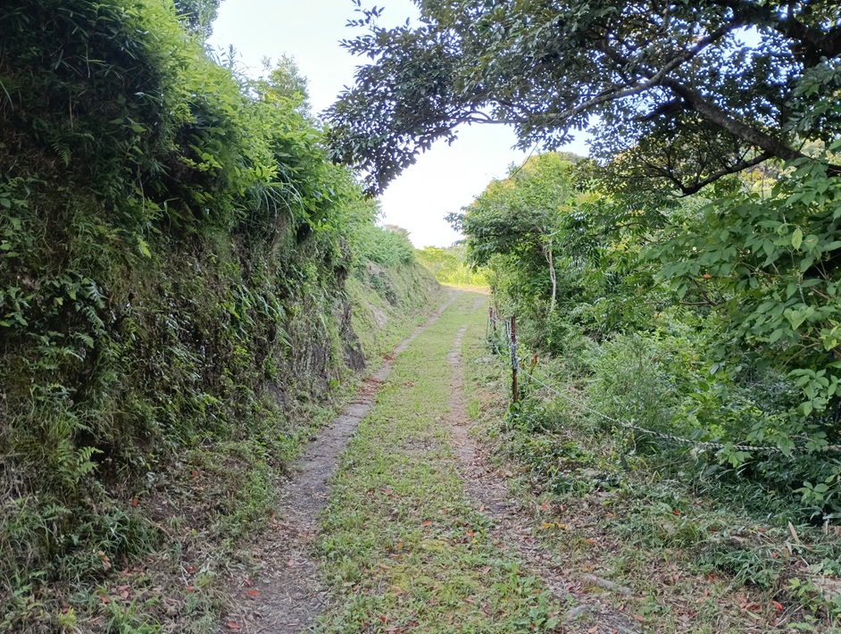 【南房総市】「おんだら山」へ登山・ハイキング！千葉の房総低名山シリーズ