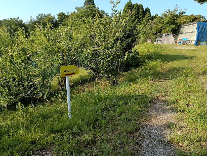 【南房総市】「おんだら山」へ登山・ハイキング！千葉の房総低名山シリーズ