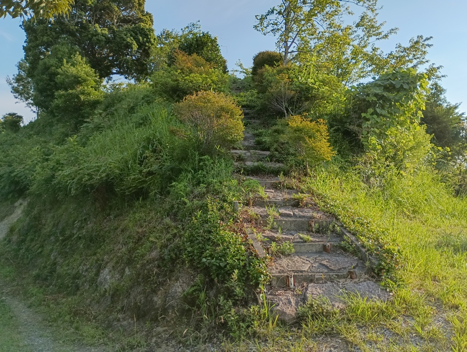 【南房総市】「おんだら山」へ登山・ハイキング！千葉の房総低名山シリーズ