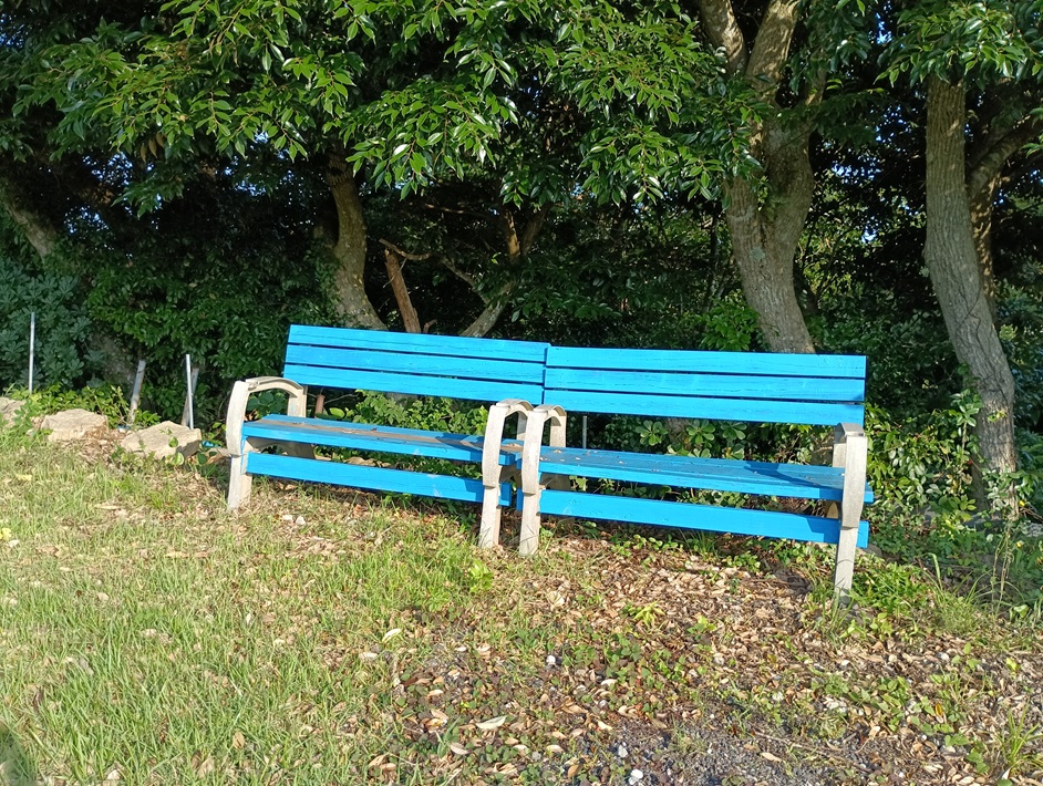 【南房総市】「おんだら山」へ登山・ハイキング！千葉の房総低名山シリーズ