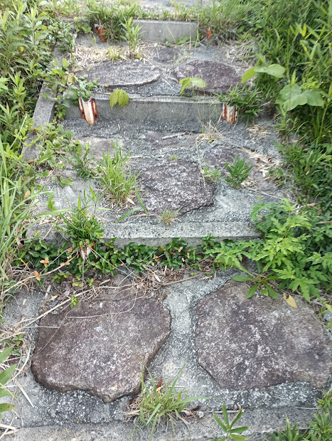 【南房総市】「おんだら山」へ登山・ハイキング！千葉の房総低名山シリーズ