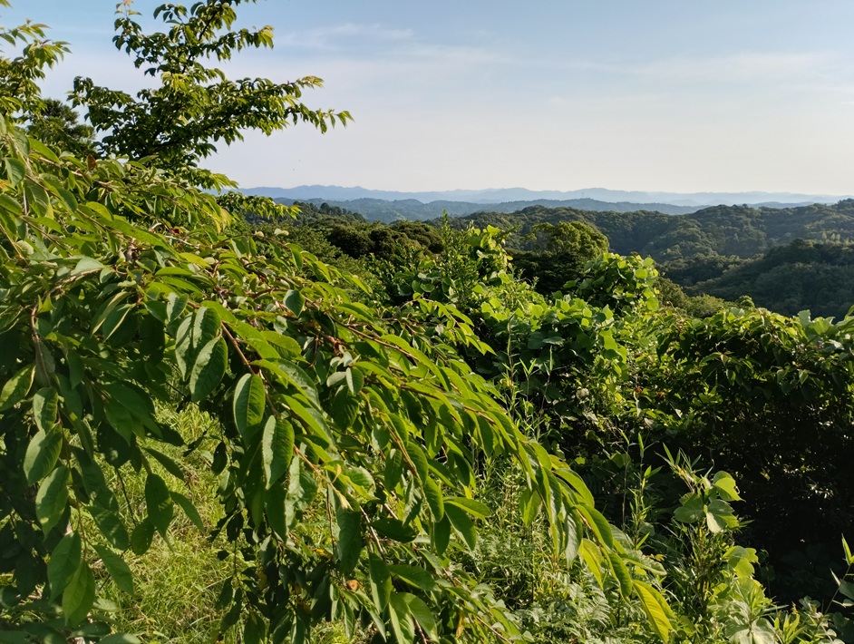 【南房総市】「おんだら山」へ登山・ハイキング！千葉の房総低名山シリーズ
