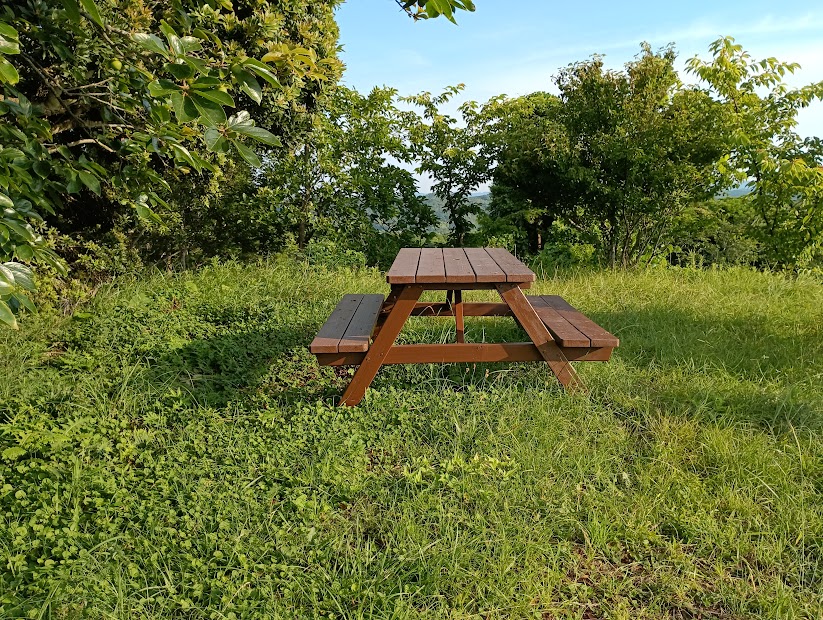 【南房総市】「おんだら山」へ登山・ハイキング！千葉の房総低名山シリーズ