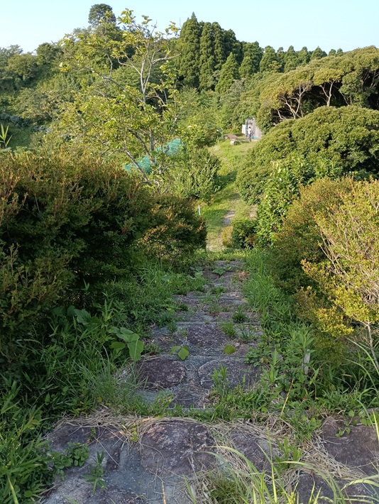 【南房総市】「おんだら山」へ登山・ハイキング！千葉の房総低名山シリーズ