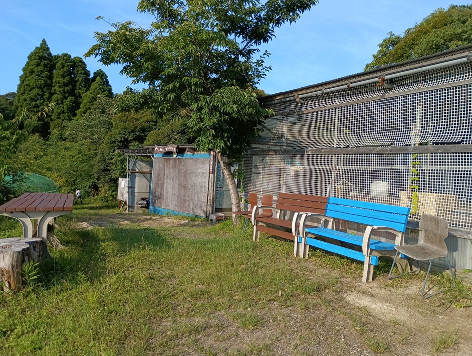 【南房総市】「おんだら山」へ登山・ハイキング！千葉の房総低名山シリーズ