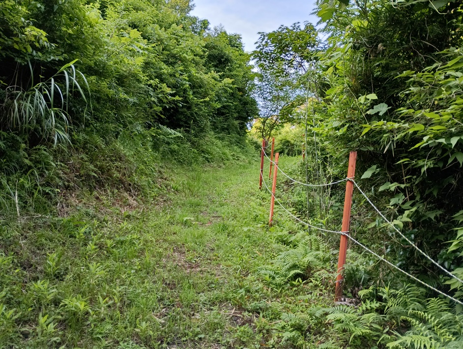【南房総市】「おんだら山」へ登山・ハイキング！千葉の房総低名山シリーズ
