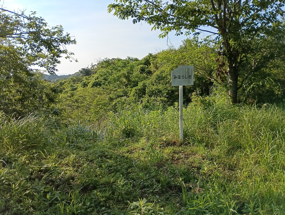 【南房総市】「おんだら山」へ登山・ハイキング！千葉の房総低名山シリーズ