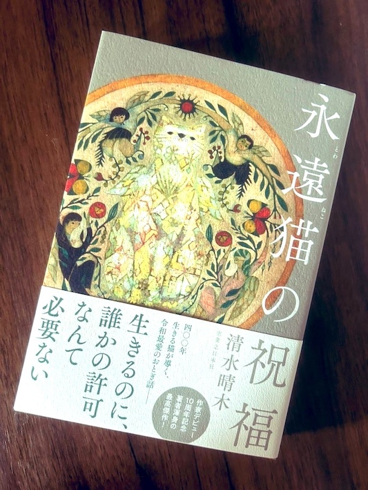小説家・清水晴木「晴れ、ときどき懐う(おもう)」