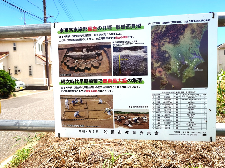 令和3年国史跡に指定!船橋市「取掛西貝塚」海鮮もジビエも 貝塚からわかる縄文の食卓