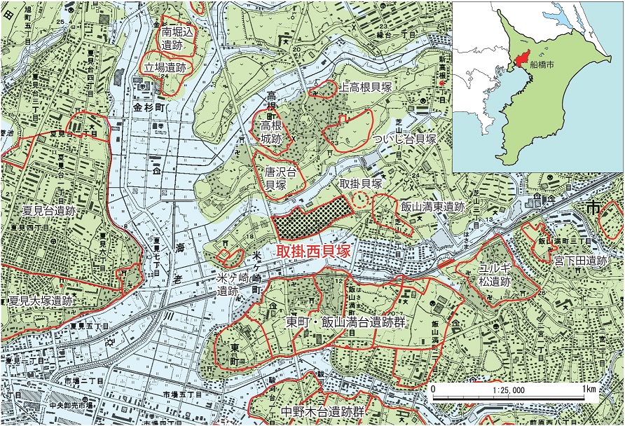 令和3年国史跡に指定!船橋市「取掛西貝塚」海鮮もジビエも 貝塚からわかる縄文の食卓
