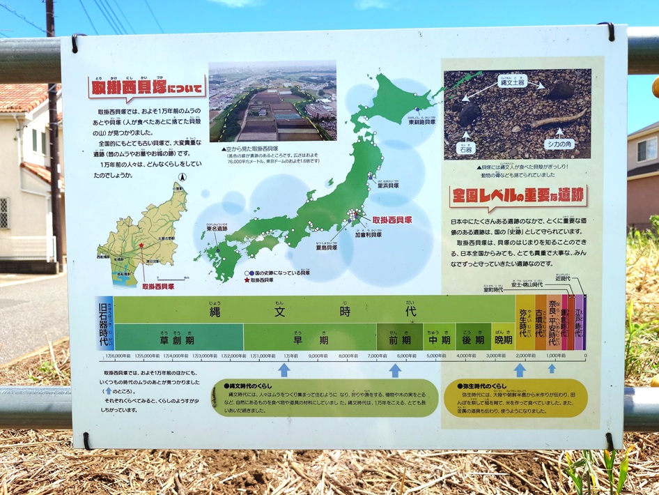 令和3年国史跡に指定!船橋市「取掛西貝塚」海鮮もジビエも 貝塚からわかる縄文の食卓