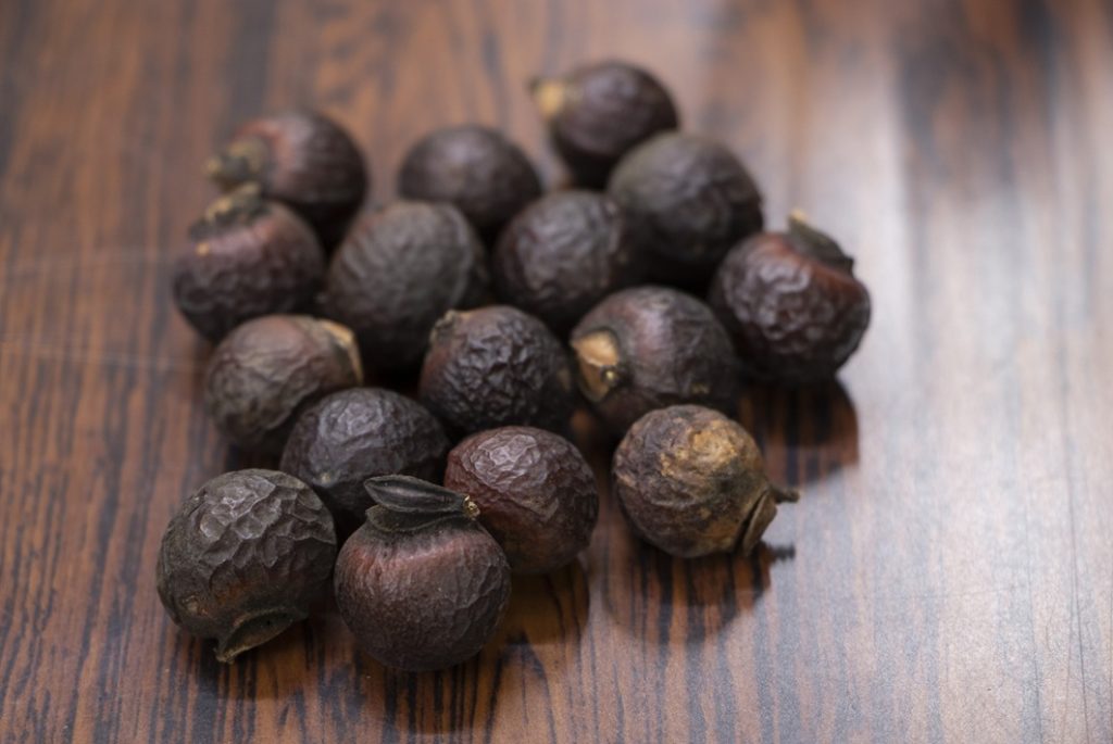 せっけんの木とも呼ばれる「ムクロジ(無患子)」