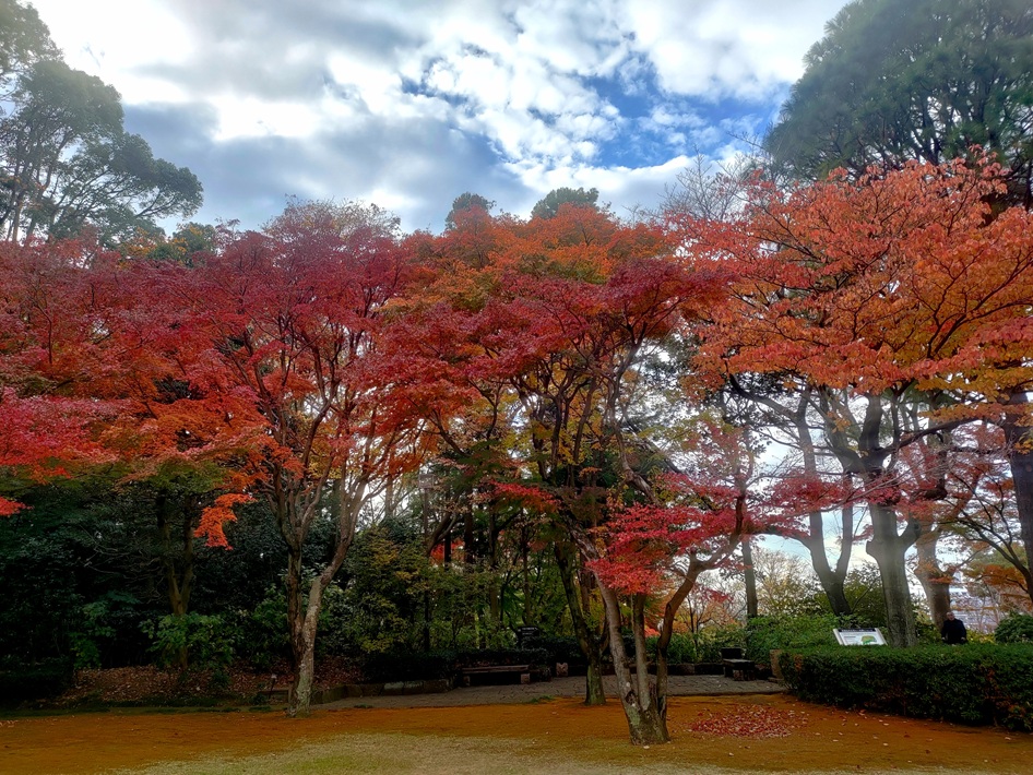 【松戸市】戸定が丘歴史公園