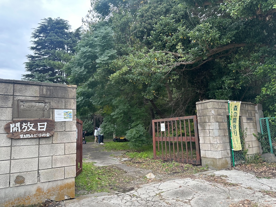 習志野の森開放日で体験！　はじめて森でフルートを吹いてみた