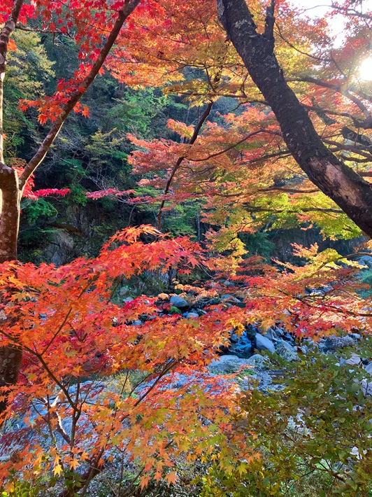 養老渓谷温泉郷