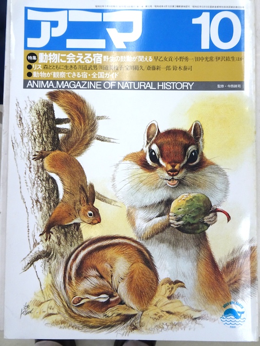 私設自然史図書室「リスの本棚」