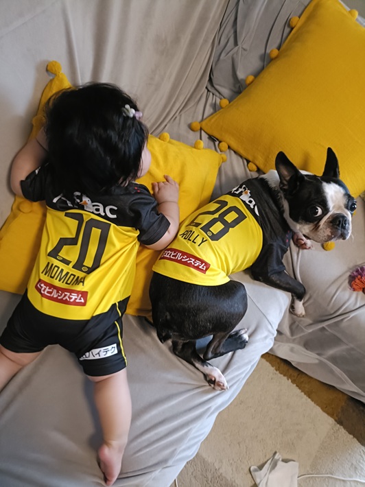 ありがとう柏レイソル！「柏熱」の2025年シーズンを終えて