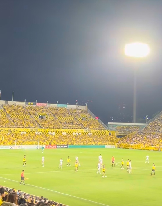 ありがとう柏レイソル！「柏熱」の2025年シーズンを終えて